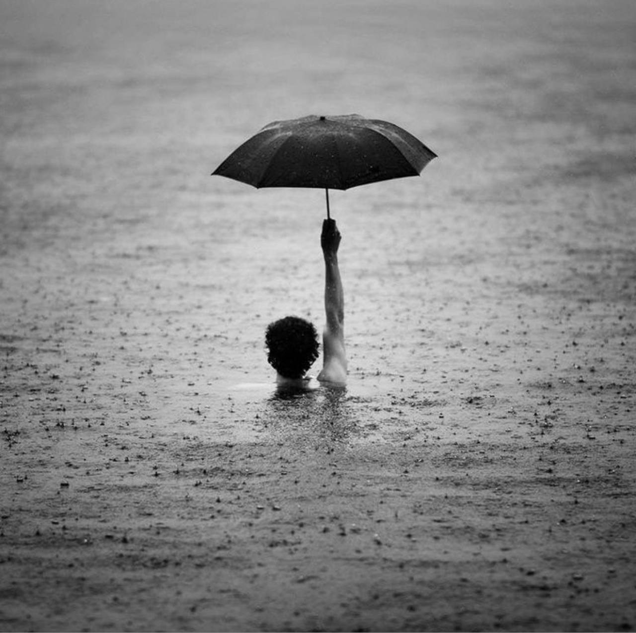 Страница со стихами. Поэт Александр Зайцев