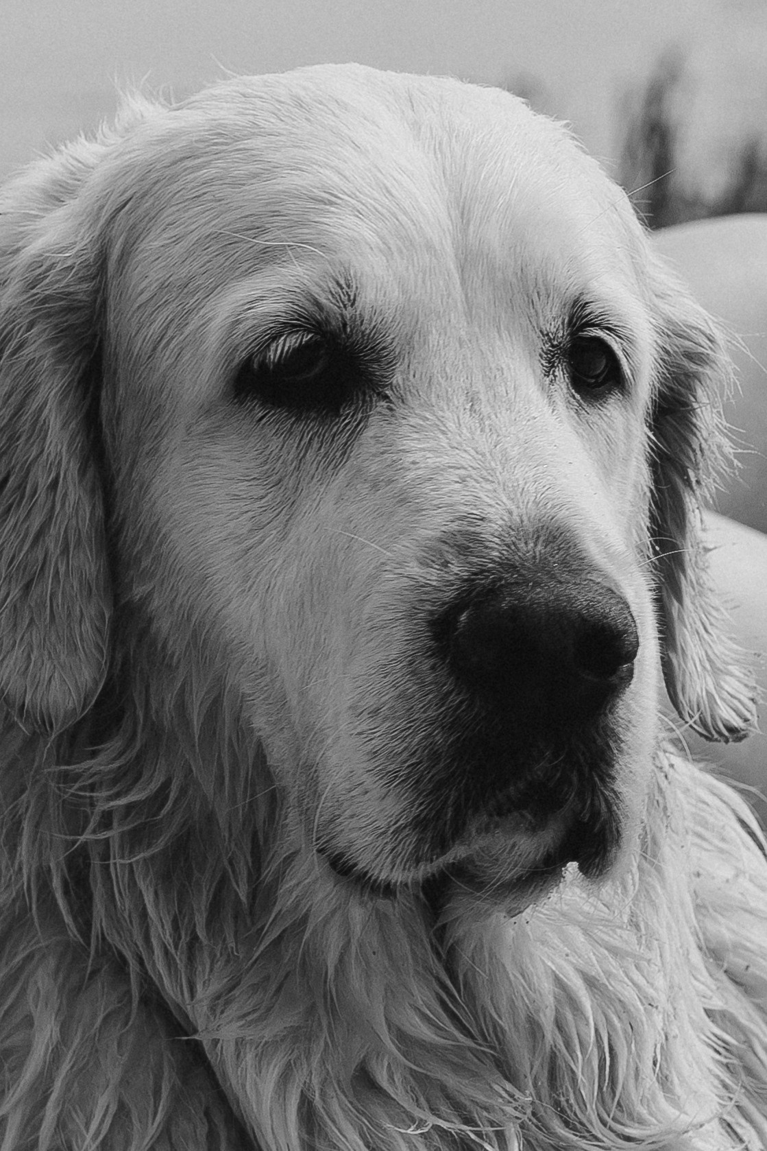 Морелеса. Репортажный фотограф в Тюмени Татьяна Мужева