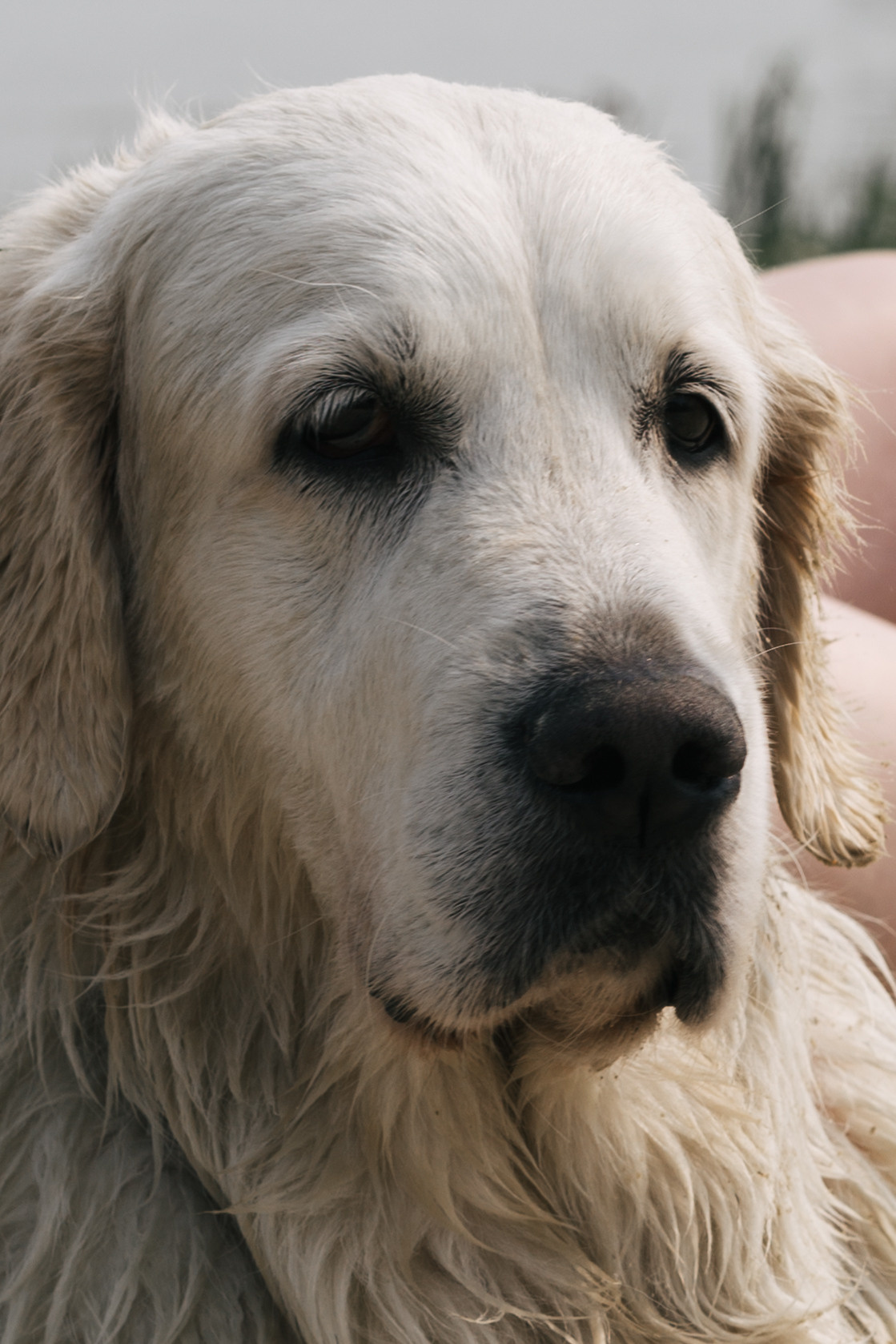 Морелеса. Репортажный фотограф в Тюмени Татьяна Мужева