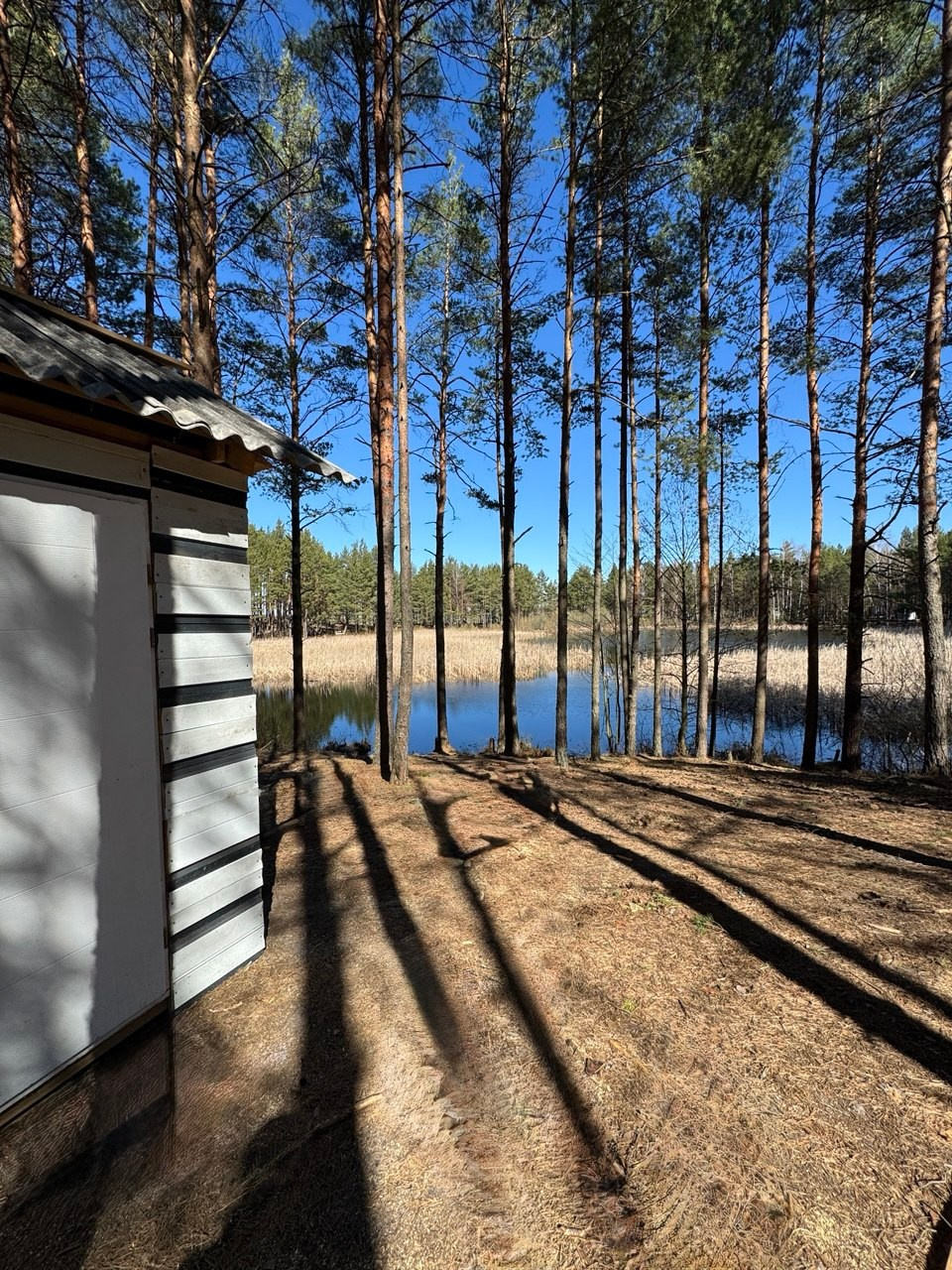 Добро пожаловать в Кемпинг — уникальное место для отдыха на лоне природы!