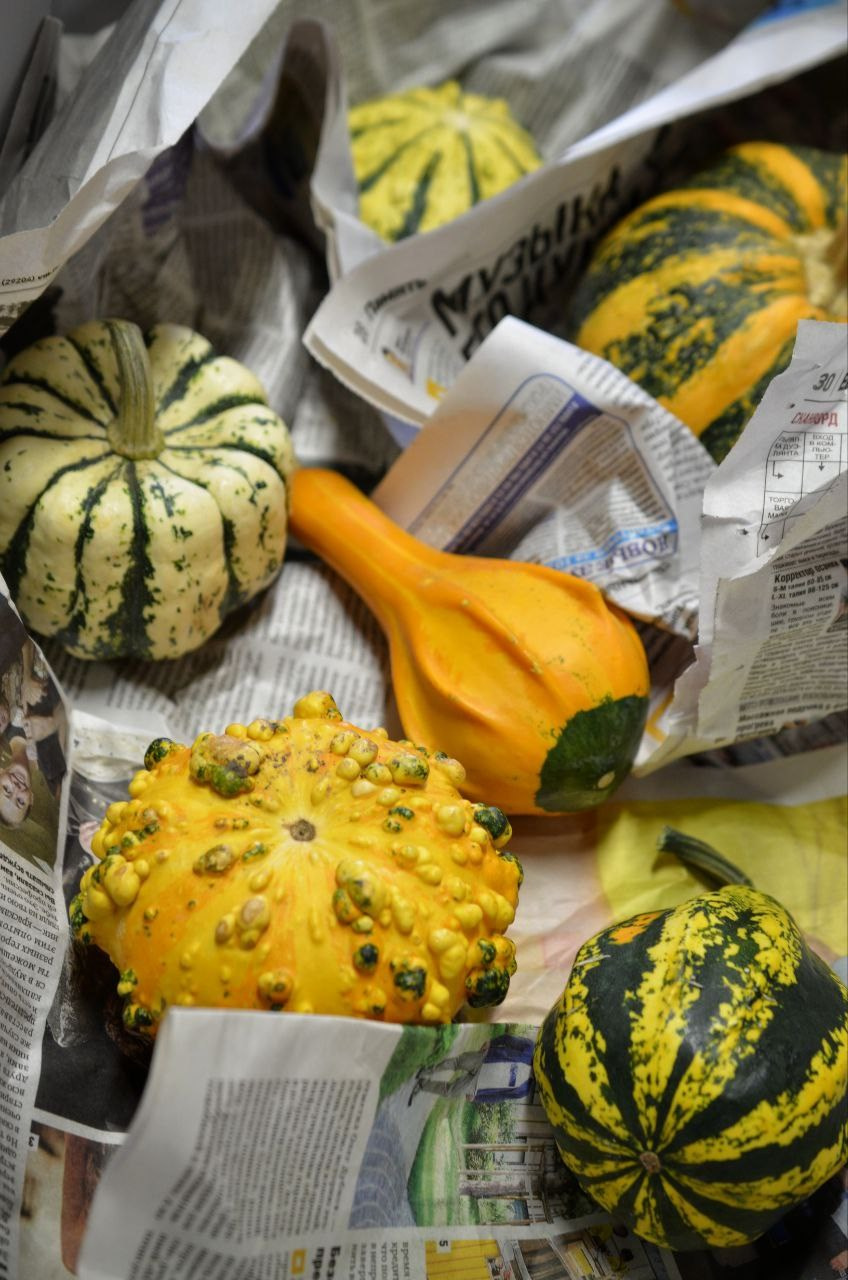 Запись в художественную школу. Изостудия «Мы рисуем!» ♥ Южное Бутово, Москва