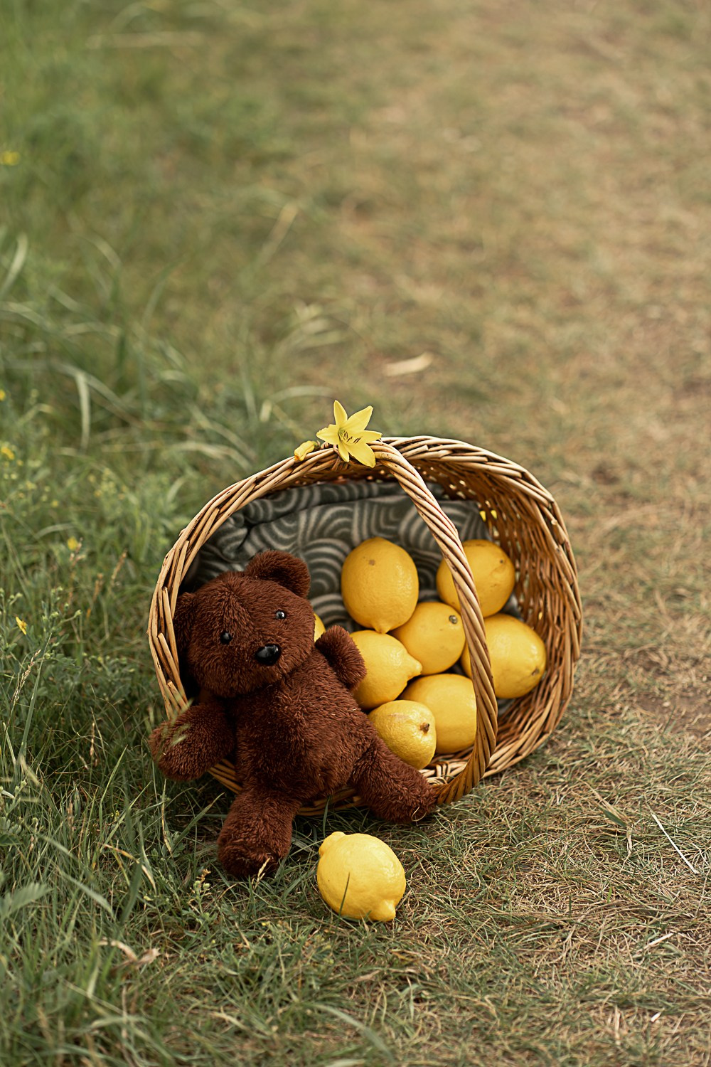 Ефимия. Фотограф в Красноярске. Юлия Чаушанская