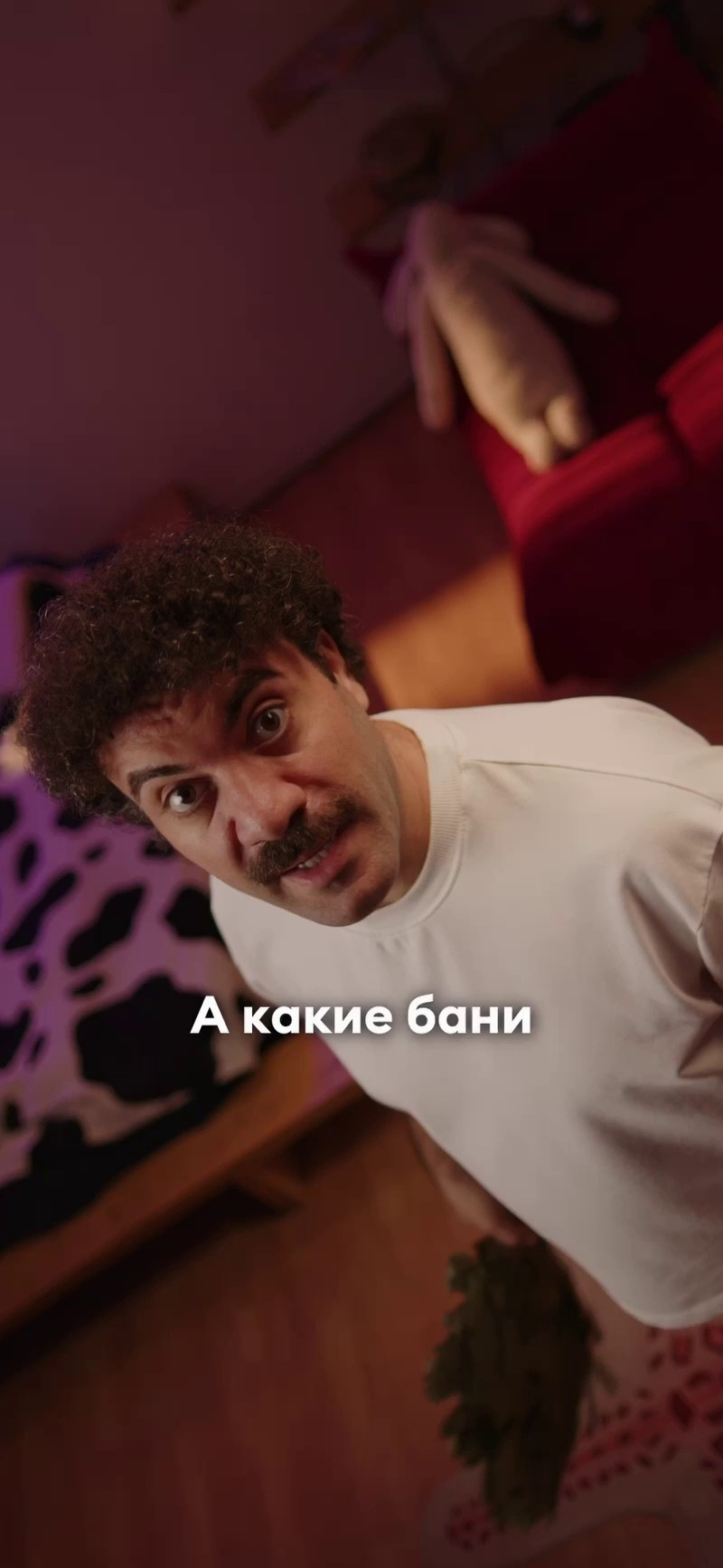 Reels | TikTok | Shorts. Видеопродакшн и интерьерная фотосъемка