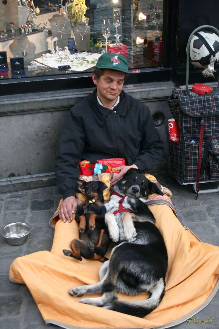 Бельгия 2009 г. Улица, люди, жизнь…