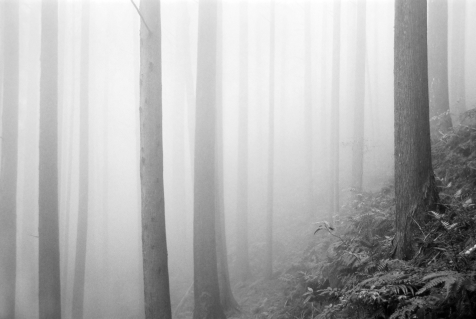 landscape, Landschaft, пейзаж, Тайвань, Taiwan, photo, фото