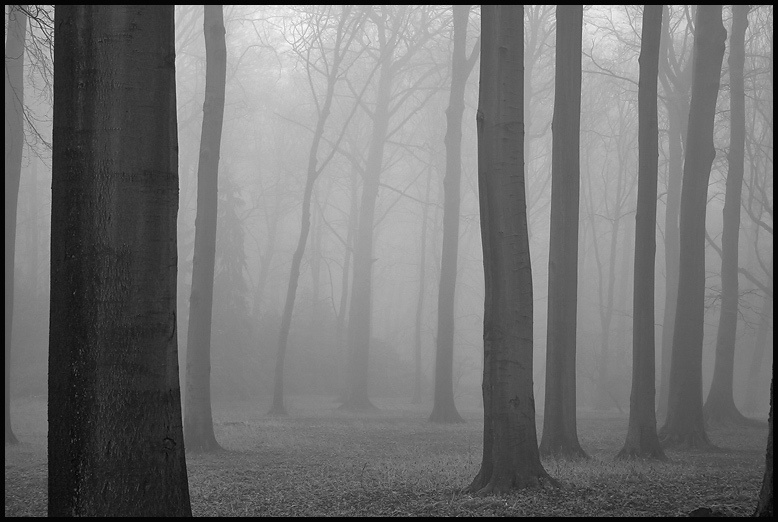 landscape, Landschaft, пейзаж, Германия, Germany, Deutschland, NRW, photo, фото