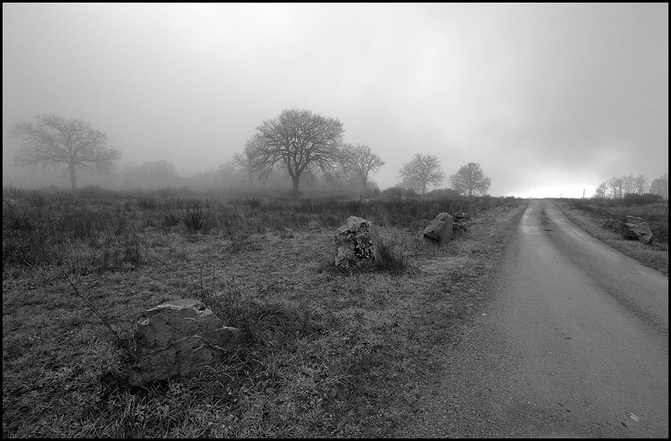 landscape, Landschaft, пейзаж, Italy, Toscana, Италия, Тоскана, photo, фото