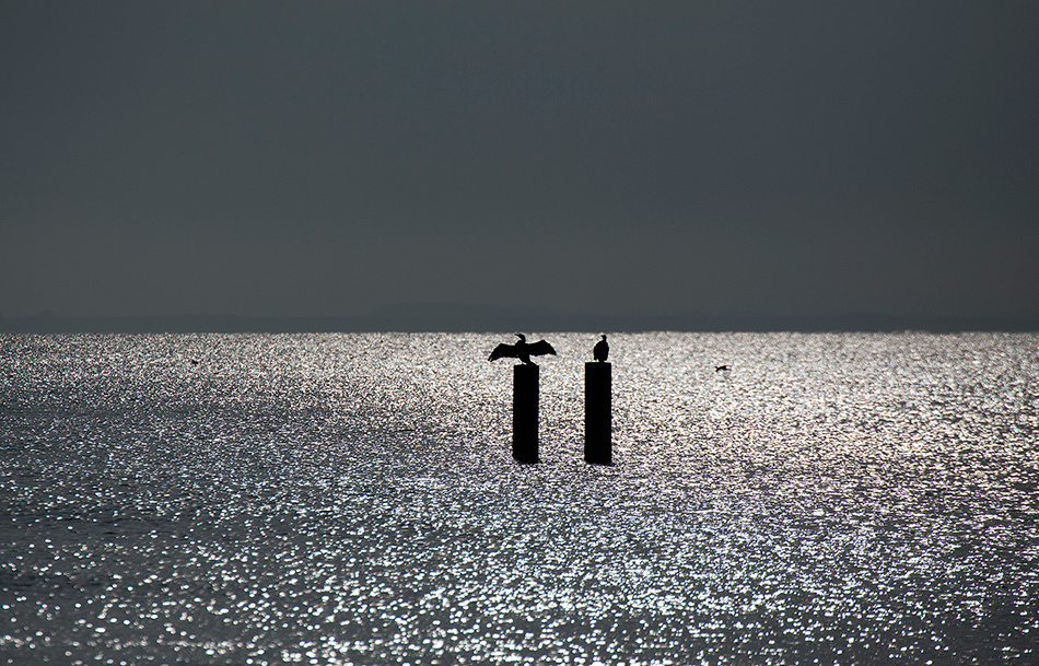 landscape, Landschaft, пейзаж, Netherland, Zautelande, North see, северное море, Нидерланды, photo, фото