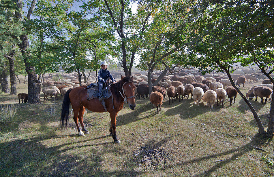 Люди. Атмосферные пейзажи, лошади, бабочки, Александр Кожухов