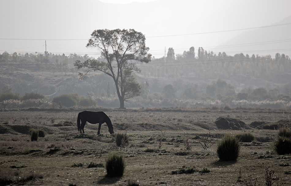 landscape, Landschaft, пейзаж, Kyrgyzstan, Киргизия, photo, фото