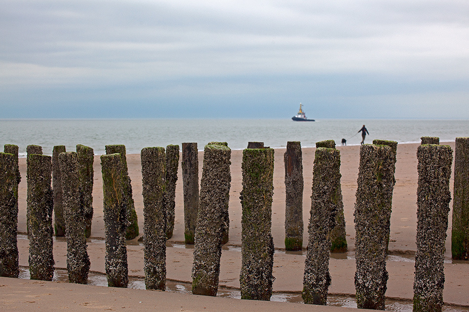 landscape, Landschaft, пейзаж, Netherland, Zautelande, North see, северное море, Нидерланды, photo, фото