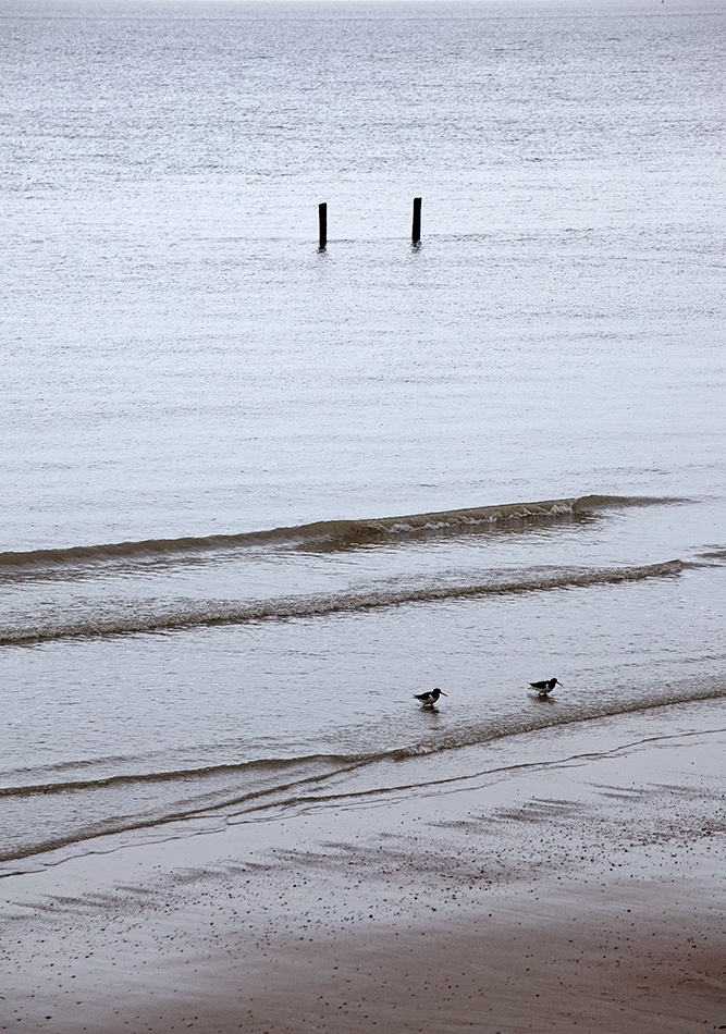 landscape, Landschaft, пейзаж, Netherland, Zautelande, North see, северное море, Нидерланды