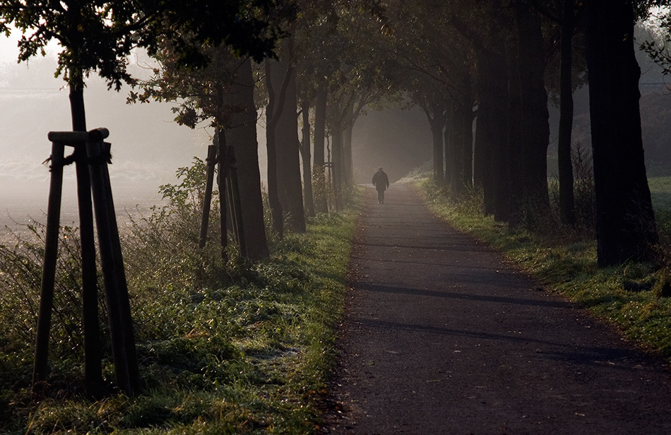 landscape, Landschaft, пейзаж, Германия, Germany, Deutschland, NRW, photo, фото