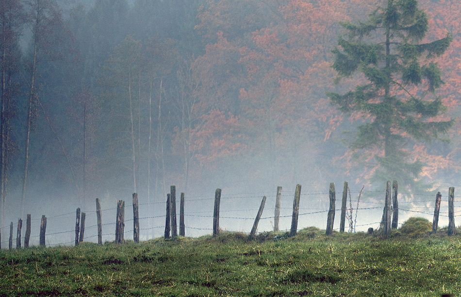 landscape, Landschaft, пейзаж, Германия, Germany, Deutschland, NRW, photo, фото
