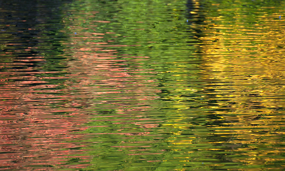 landscape, Landschaft, пейзаж, Германия, Germany, Deutschland, NRW, Romberg Park