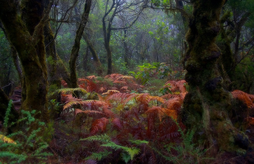 landscape, Landschaft, пейзаж, Испания, Канарские острова, Spain, Kanarien, photo, фото