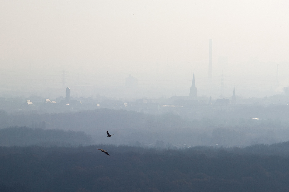 landscape, Landschaft, пейзаж, Германия, Germany, Deutschland, NRW, photo, фото