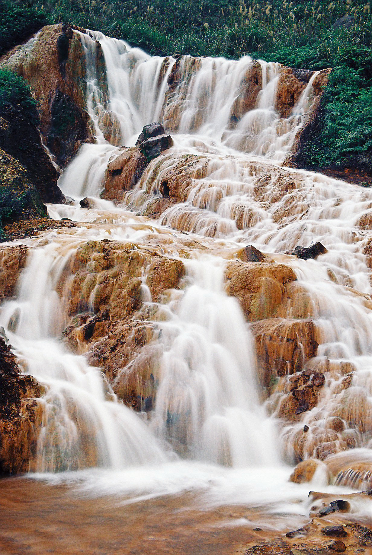 Landscapes. Atmospheric landscapes, horses, butterfies. Alexander Kozhukhov