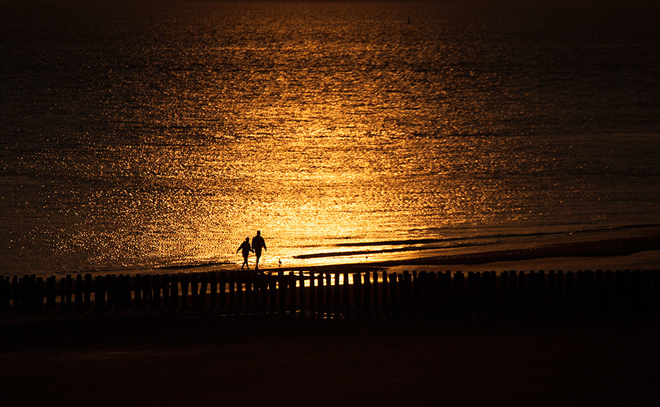 landscape, Landschaft, пейзаж, Netherland, Zautelande, North see, северное море, Нидерланды, photo, фото