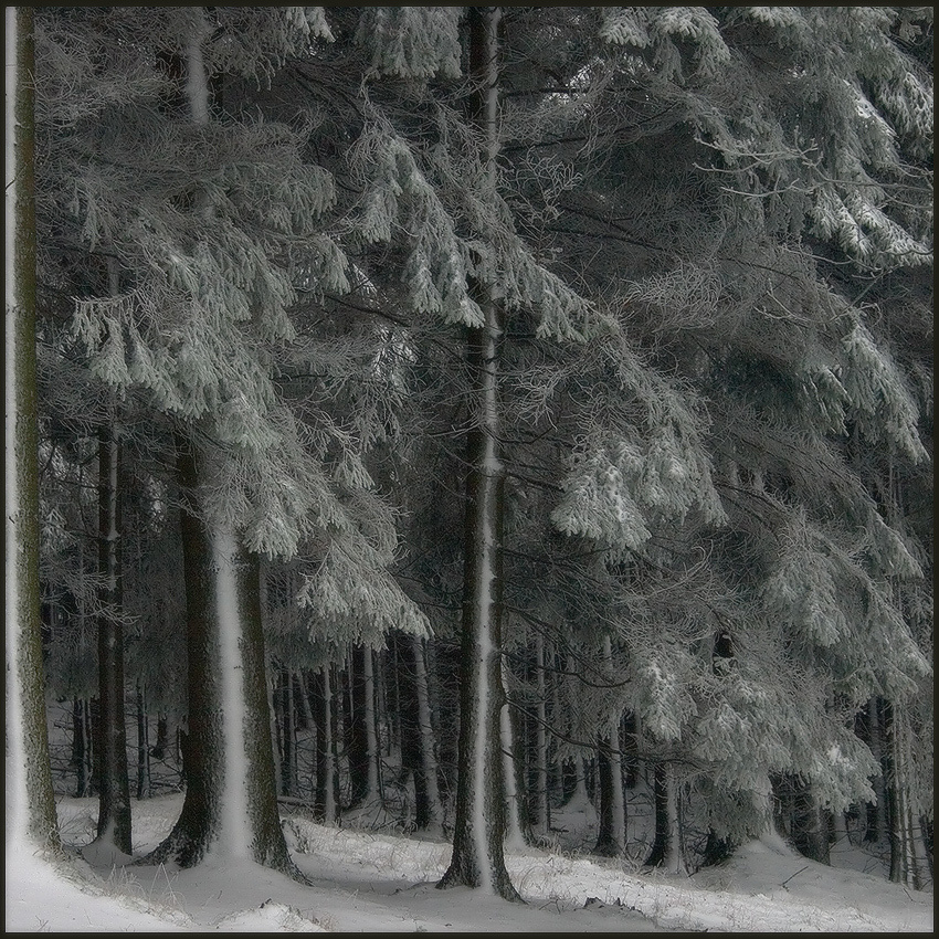 landscape, Landschaft, пейзаж, Германия, Germany, Deutschland, NRW, photo, фото