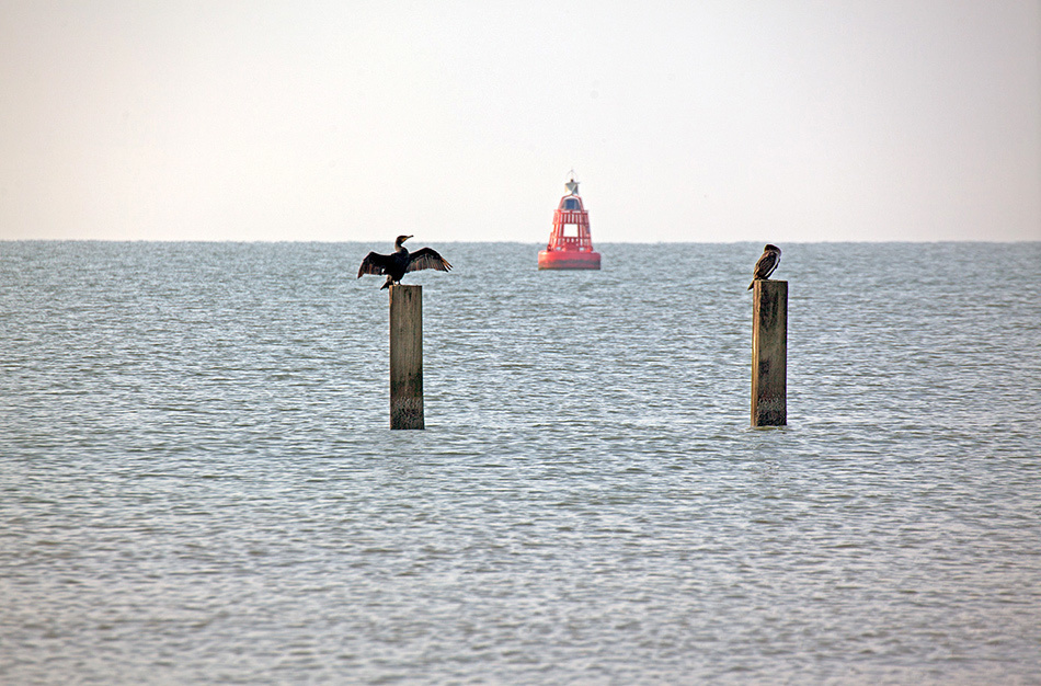 landscape, Landschaft, пейзаж, Netherland, Zautelande, North see, северное море, Нидерланды, photo, фото