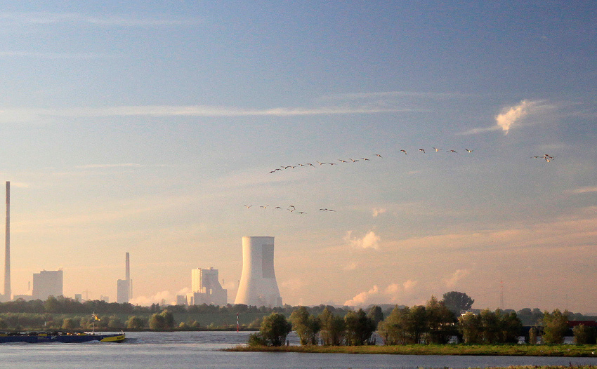 landscape, Landschaft, пейзаж, Германия, Germany, Deutschland, NRW, photo, фото