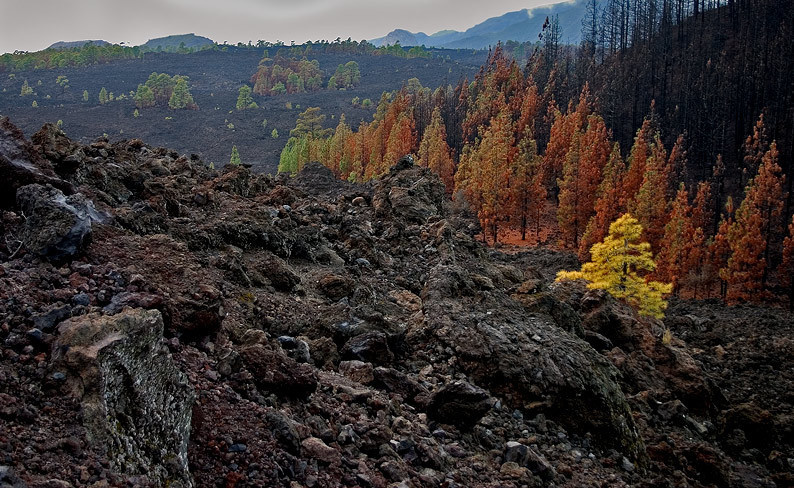 landscape, Landschaft, пейзаж, Испания, Канарские острова, Spain, Kanarien, photo, фото