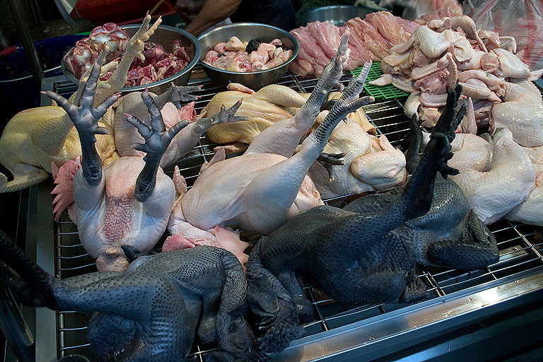 Животные. Атмосферные пейзажи, лошади, бабочки, Александр Кожухов