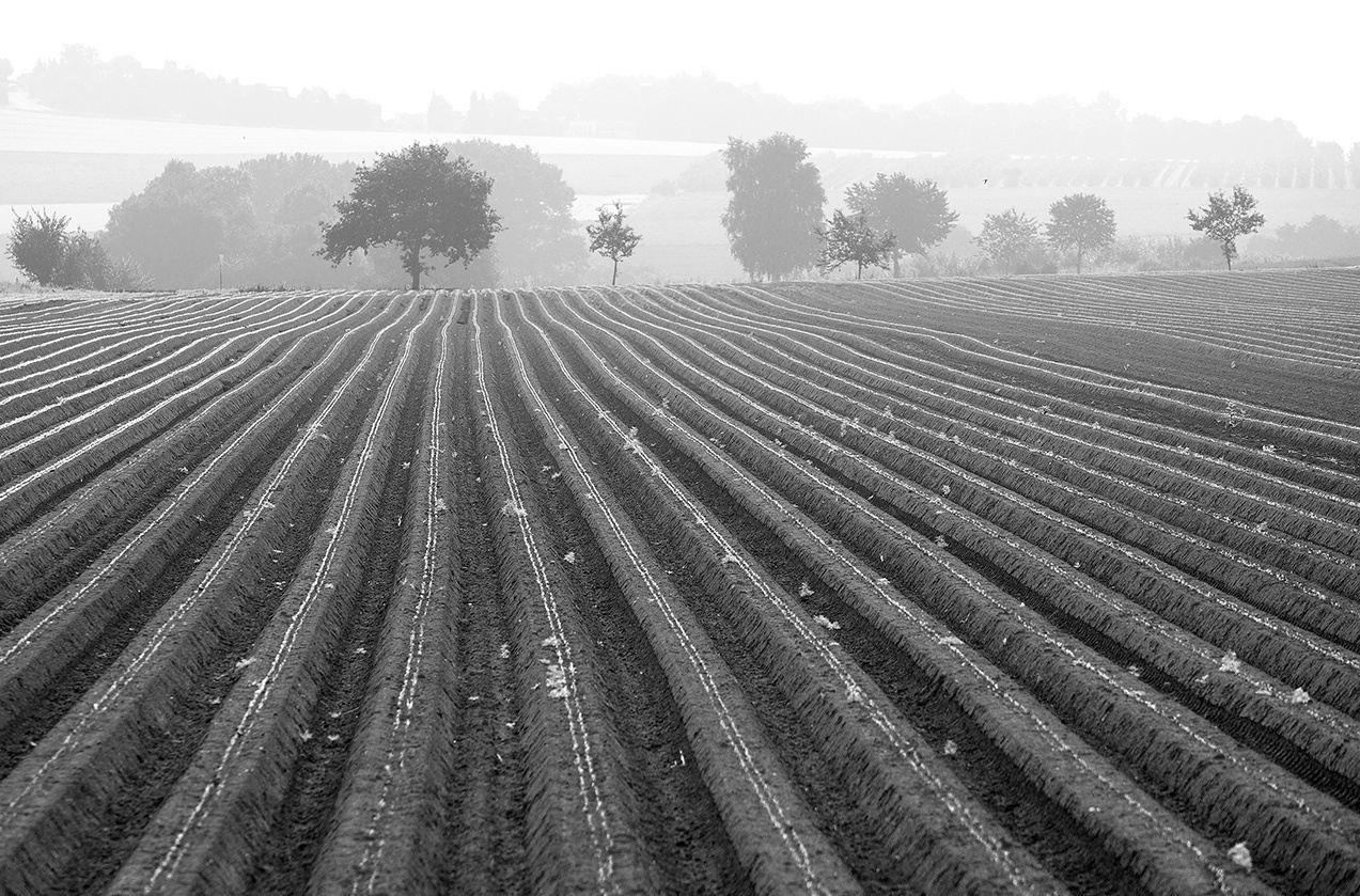 landscape, Landschaft, пейзаж, photo, фото