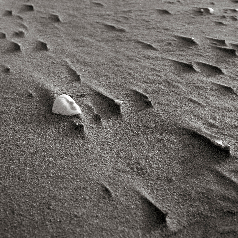 Traces at the sand.