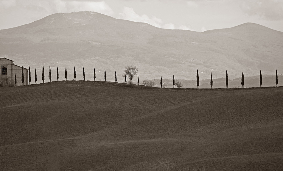 landscape, Landschaft, пейзаж, Italy, Toscana, Италия, Тоскана, photo, фото