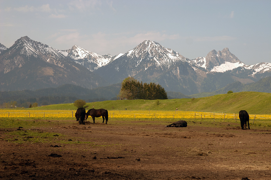 landscape, Landschaft, пейзаж, Bavaria, Бавария, photo, фото