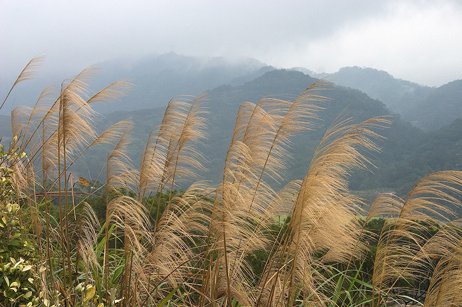 landscape, Landschaft, пейзаж, Taiwan,Тайвань, photo, фото