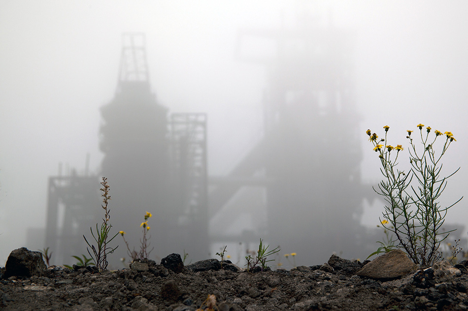 landscape, Landschaft, пейзаж, Германия, Germany, Deutschland, NRW, photo, фото