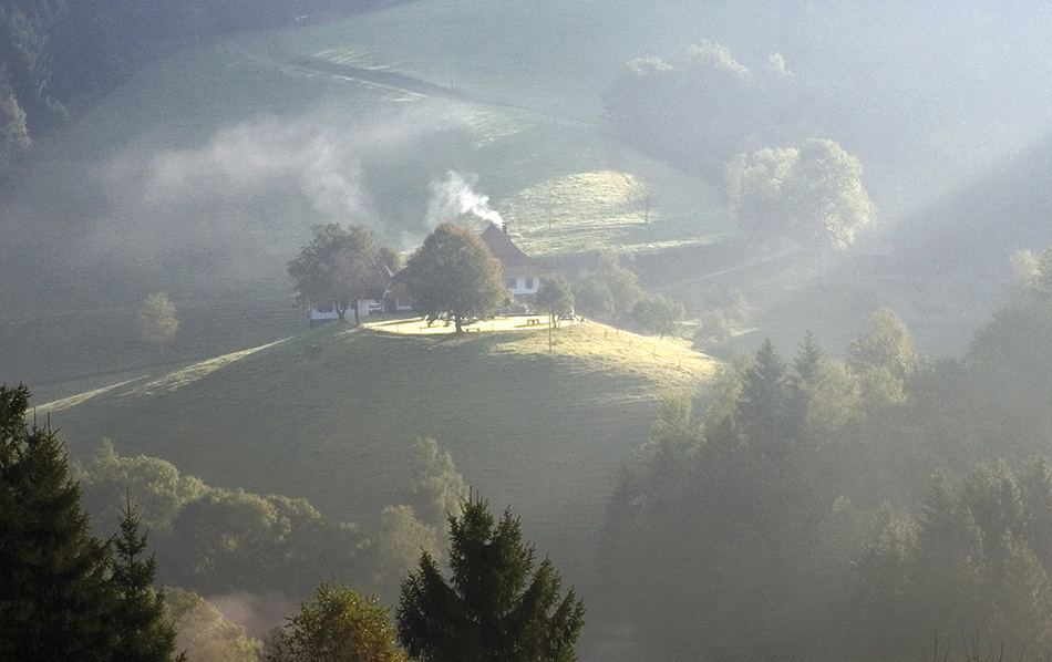 landscape, Landschaft, пейзаж, Schwarzwald, photo, фото