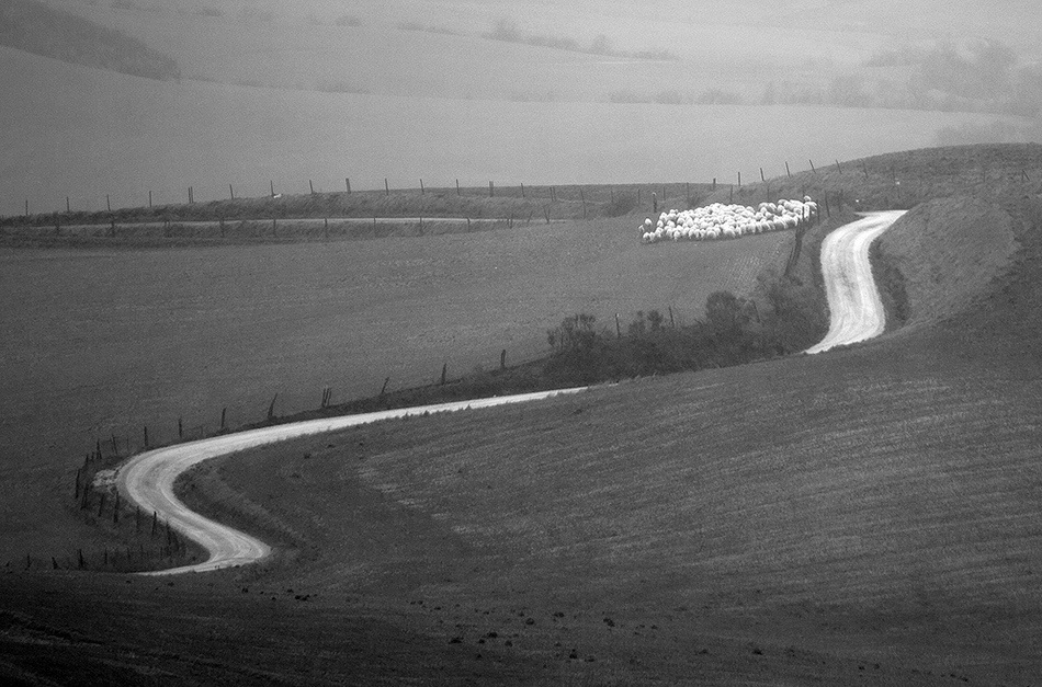 landscape, Landschaft, пейзаж, Italy, Toscana, Италия, Тоскана, photo, фото