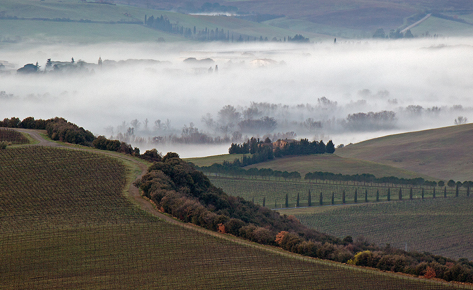 landscape, Landschaft, пейзаж, Italy, Toscana, Италия, Тоскана, photo, фото