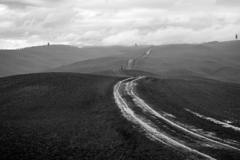 landscape, Landschaft, пейзаж, Italy, Toscana, Италия, Тоскана, photo, фото