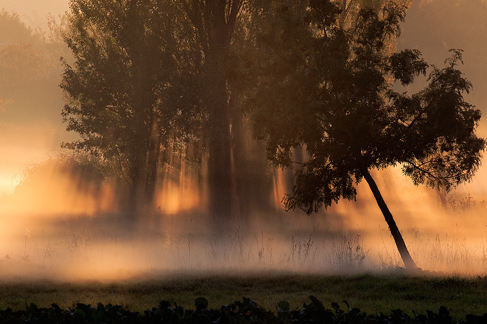 landscape, Landschaft, пейзаж, Германия, Germany, Deutschland, NRW, photo, фото