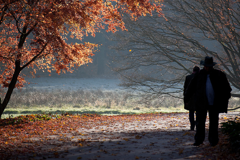 landscape, Landschaft, пейзаж, Германия, Germany, Deutschland, NRW, Romberg Park, photo, фото