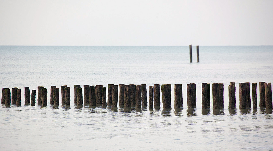 landscape, Landschaft, пейзаж, Netherland, Zautelande, North see, северное море, Нидерланды, photo, фото