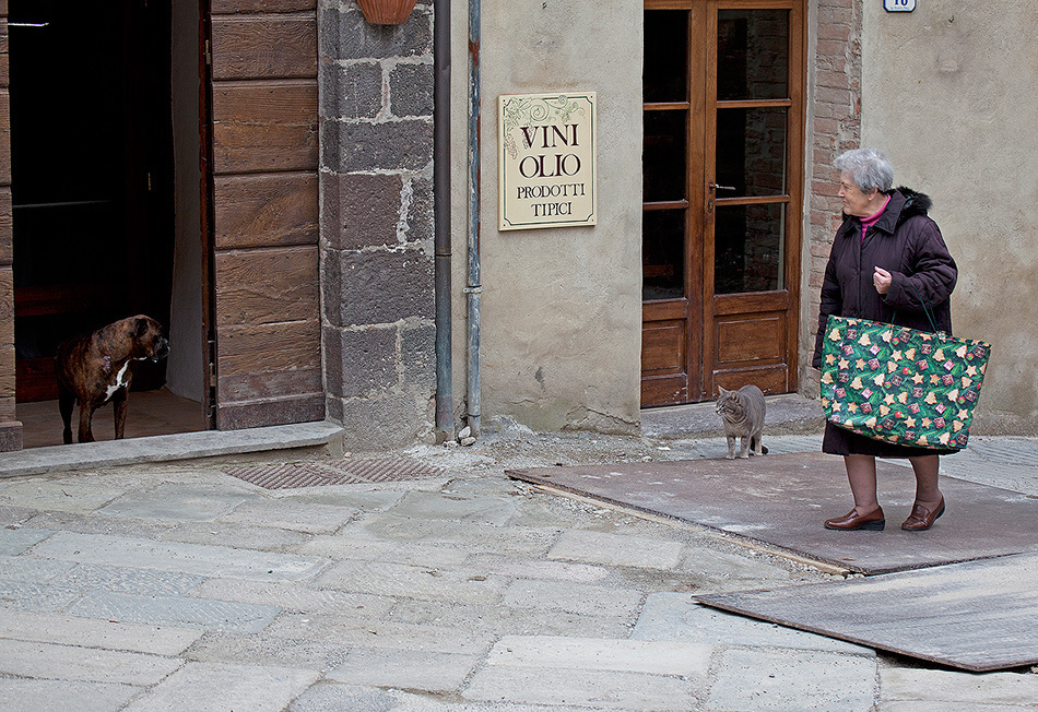 Животные. Атмосферные пейзажи, лошади, бабочки, Александр Кожухов