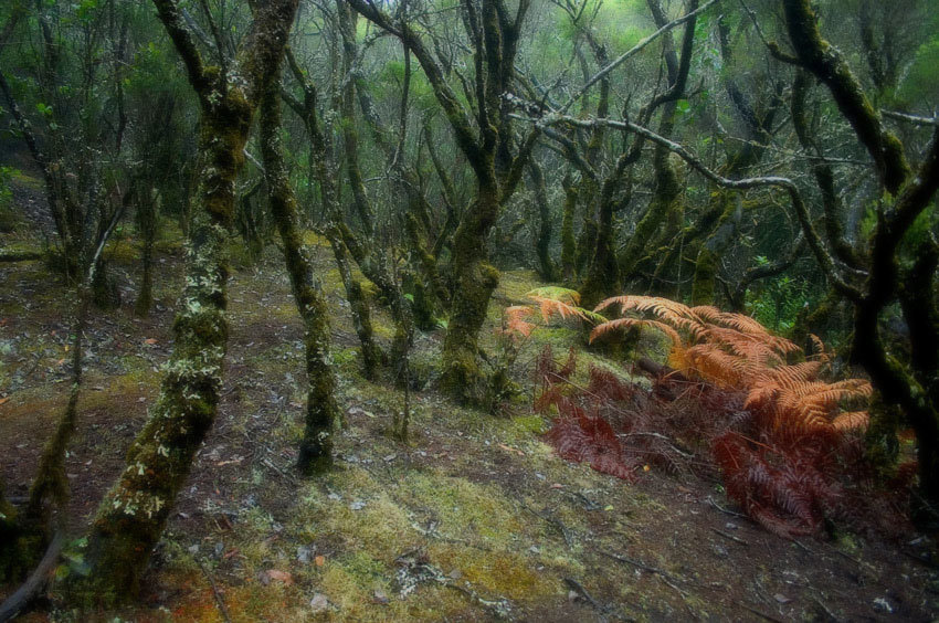 landscape, Landschaft, пейзаж, Испания, Канарские острова, Spain, Kanarien, photo, фото