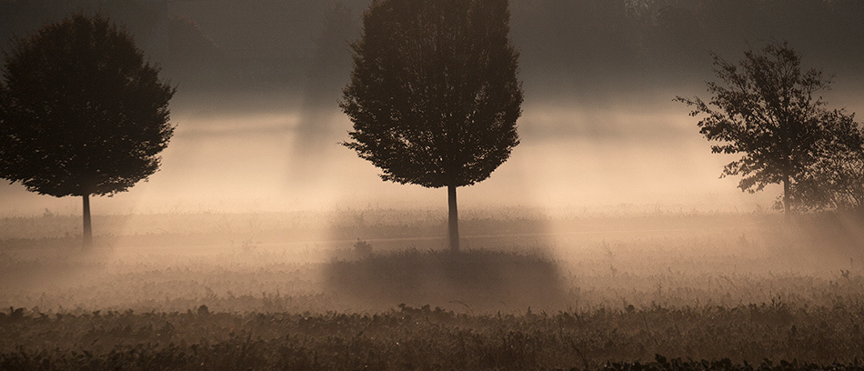 landscape, Landschaft, пейзаж, Германия, Germany, Deutschland, NRW, photo, фото