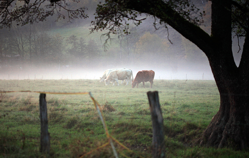landscape, Landschaft, пейзаж, Германия, Germany, Deutschland, NRW, photo, фото