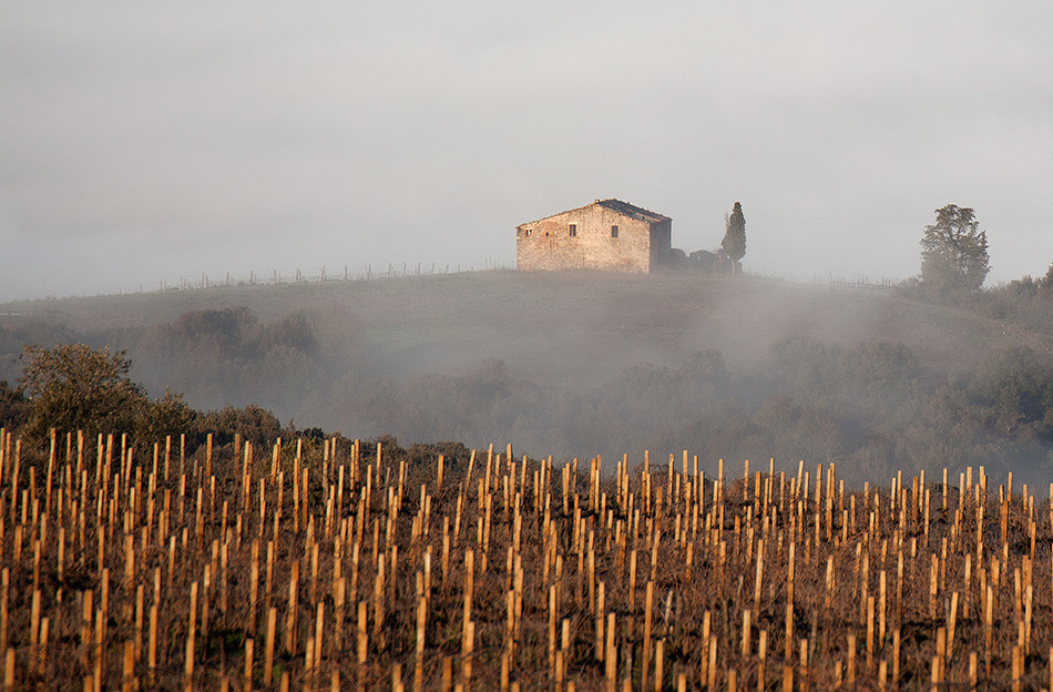 landscape, Landschaft, пейзаж, Italy, Toscana, Италия, Тоскана, photo, фото
