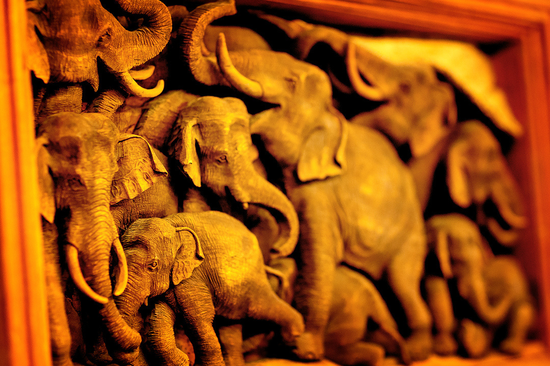 фотограф юбилей