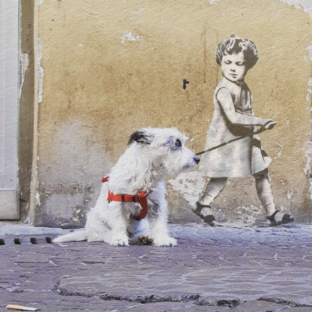 Area. Фотограф Иван Антонов