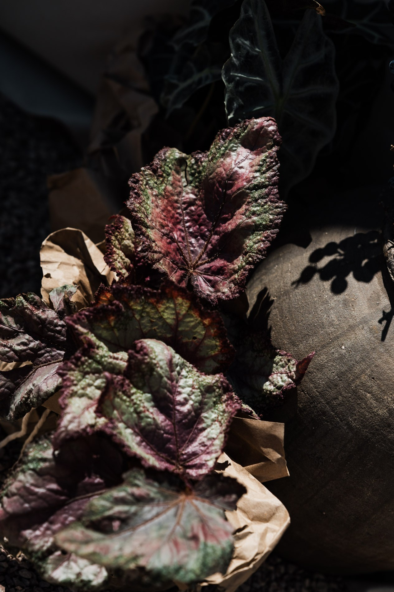 Поместье Голубицкое.Потанцуем?. Свадебный и семейный фотограф в Краснодаре Марина Стёпа