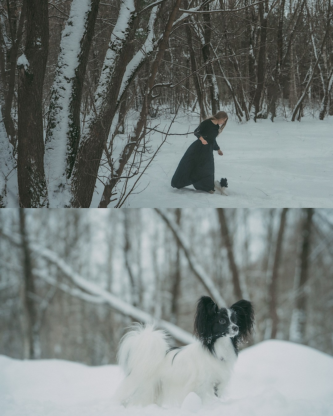 Альбина и Амелия. Фотограф анималист в Москве и Санкт-Петербурге Свиридова Анна